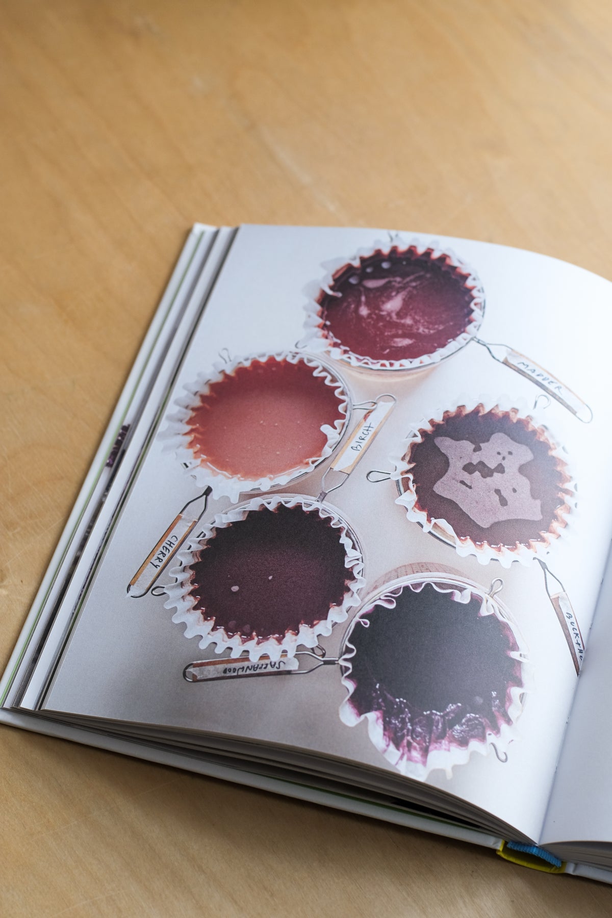 from plant to pigment: how to make your own vibrant inks, pastels and paints - by natalie stopka