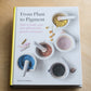 from plant to pigment: how to make your own vibrant inks, pastels and paints - by natalie stopka