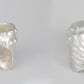 fragments of king nautilus silver ring