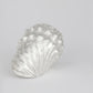 fragments of king nautilus silver ring