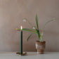 dolofana candle