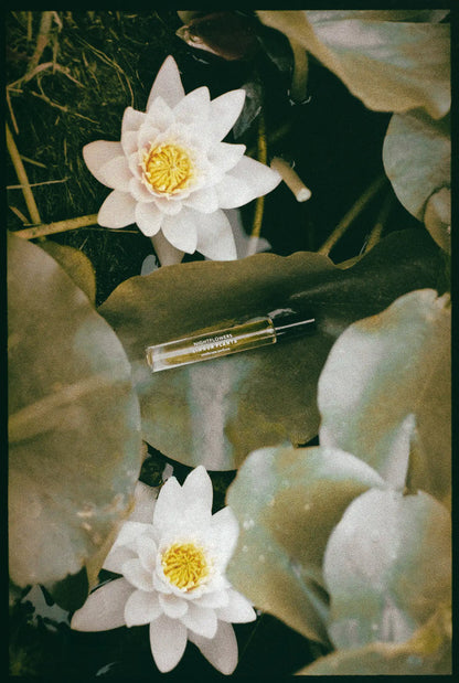 nightflowers natural perfume