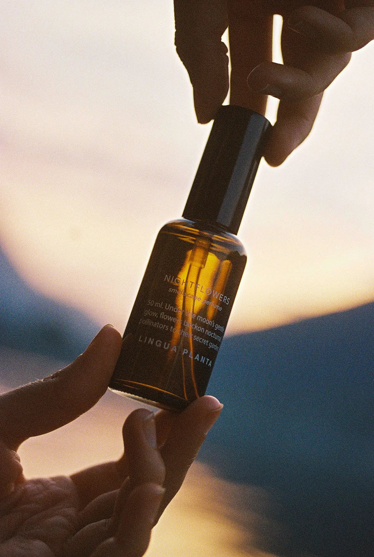 nightflowers natural perfume