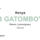 pb gatomboya - kenya - washed