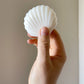 neutral unscented seashell soap bar