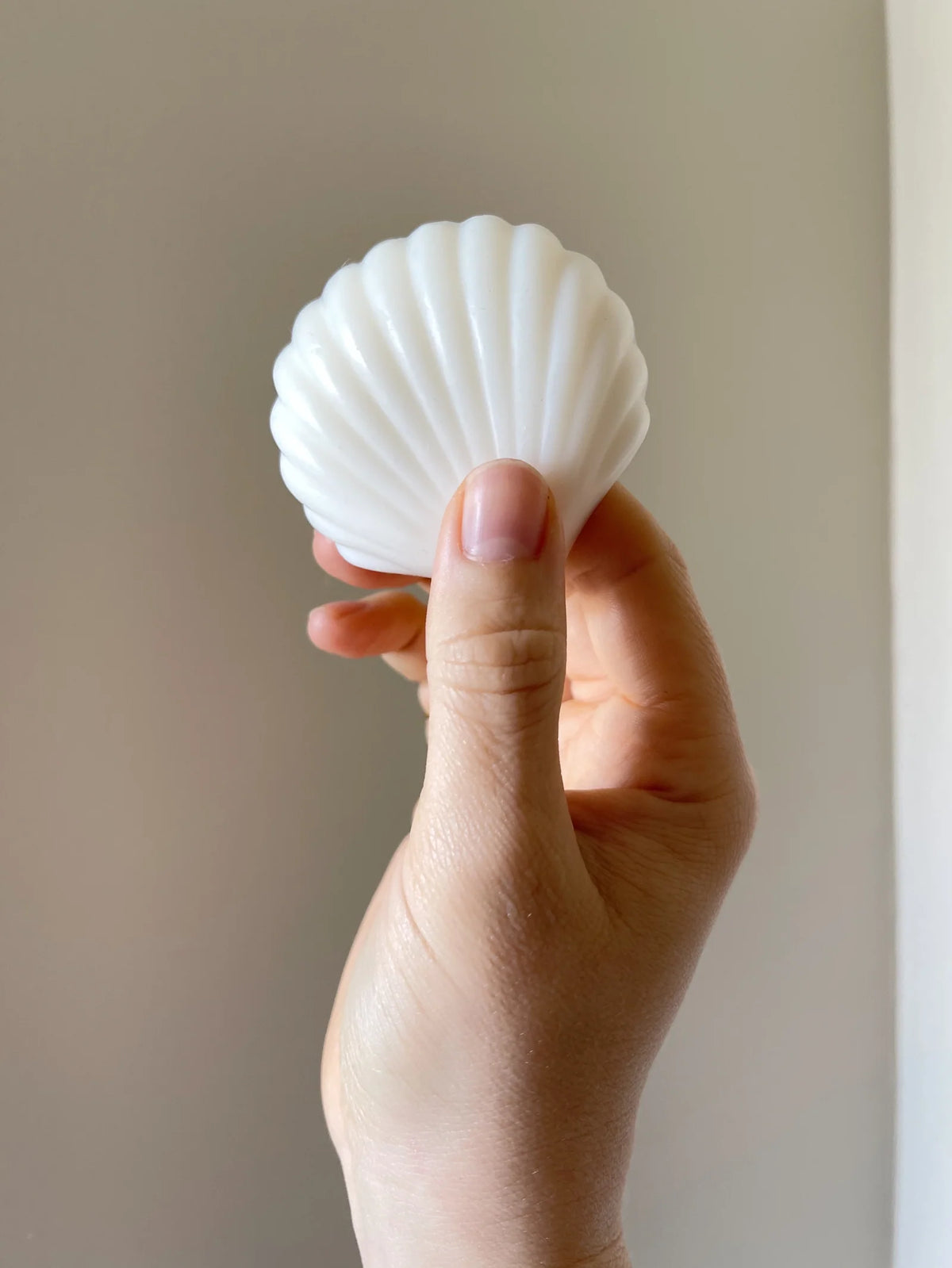 neutral unscented seashell soap bar