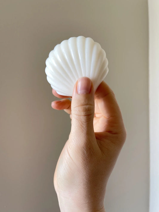 neutral unscented seashell soap bar