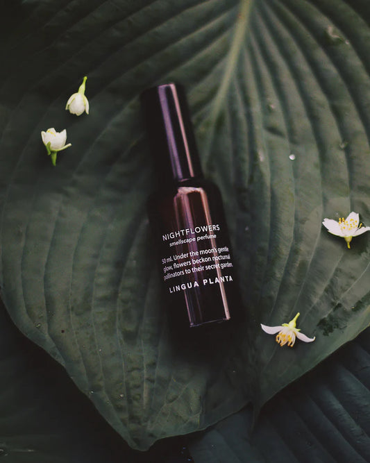 nightflowers natural perfume