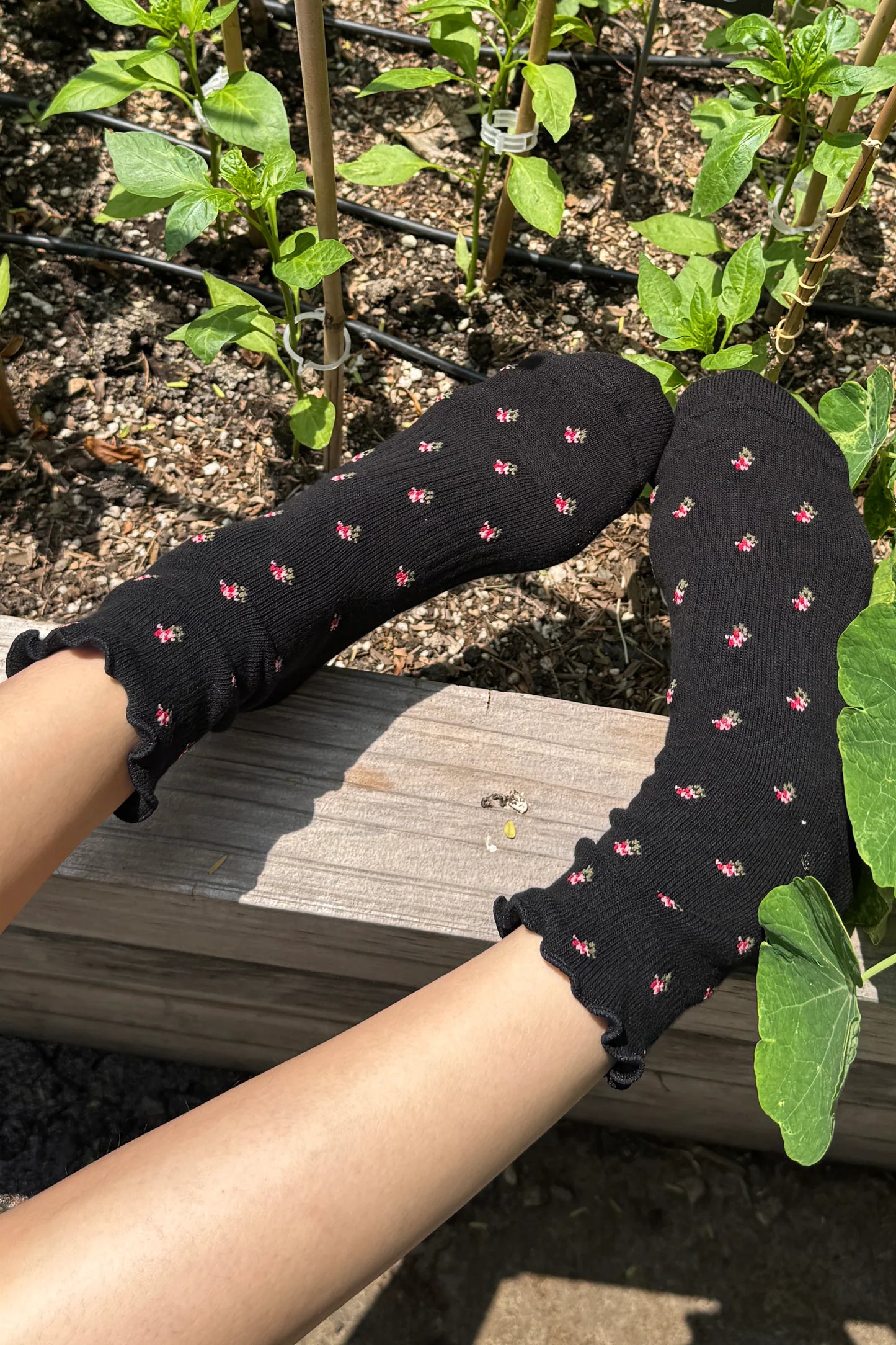 petal ruffled crew socks - two shades