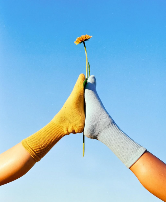 pansy crew socks - size 37.5 to 40 - various colors