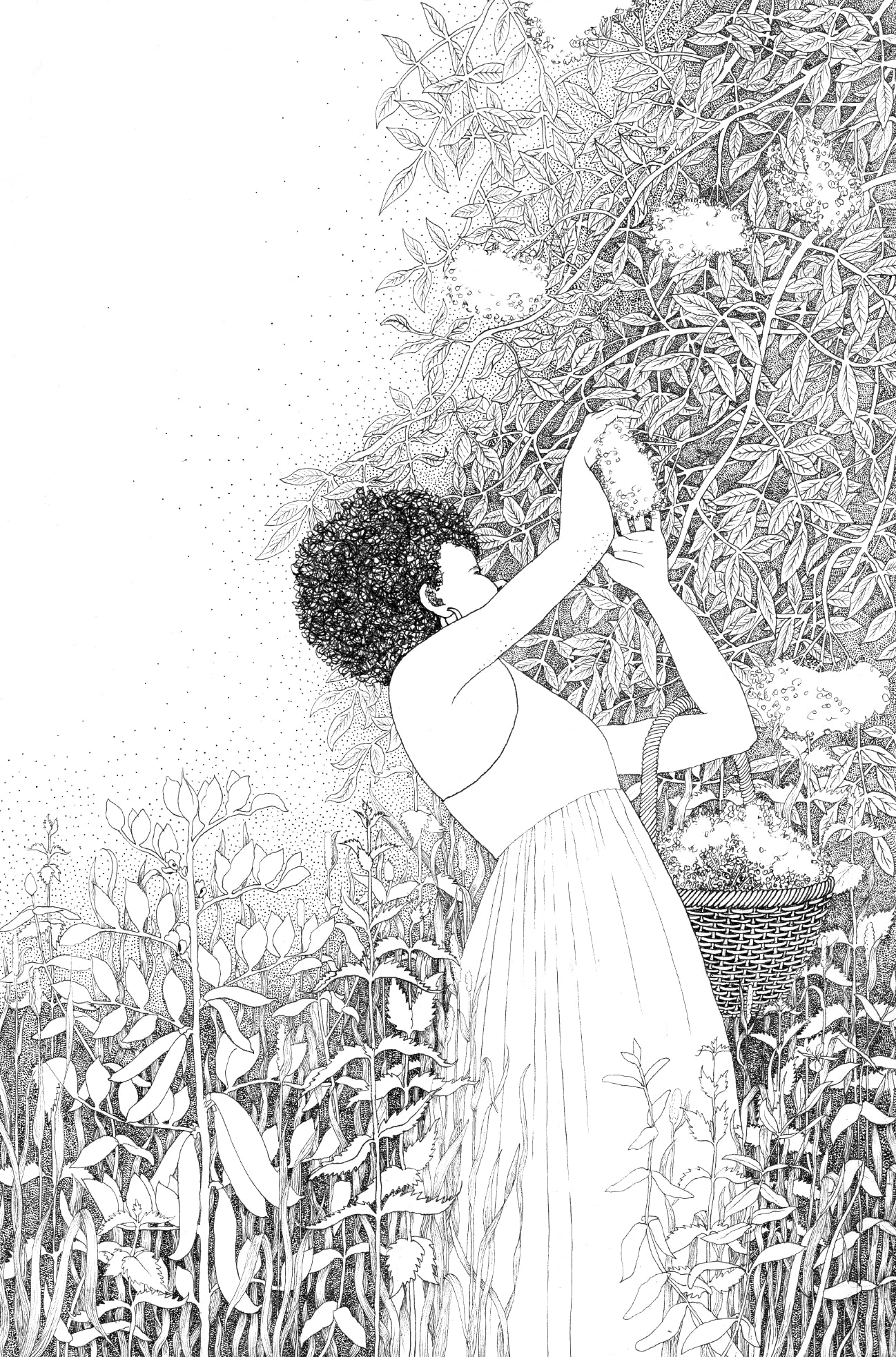 a wilder way: how gardens grow us - by poppy okotcha