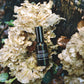 understory natural perfume