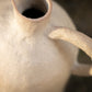 pitxer pitcher
