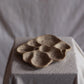 5 inch gathered earth orgánica jewelry dish no.1