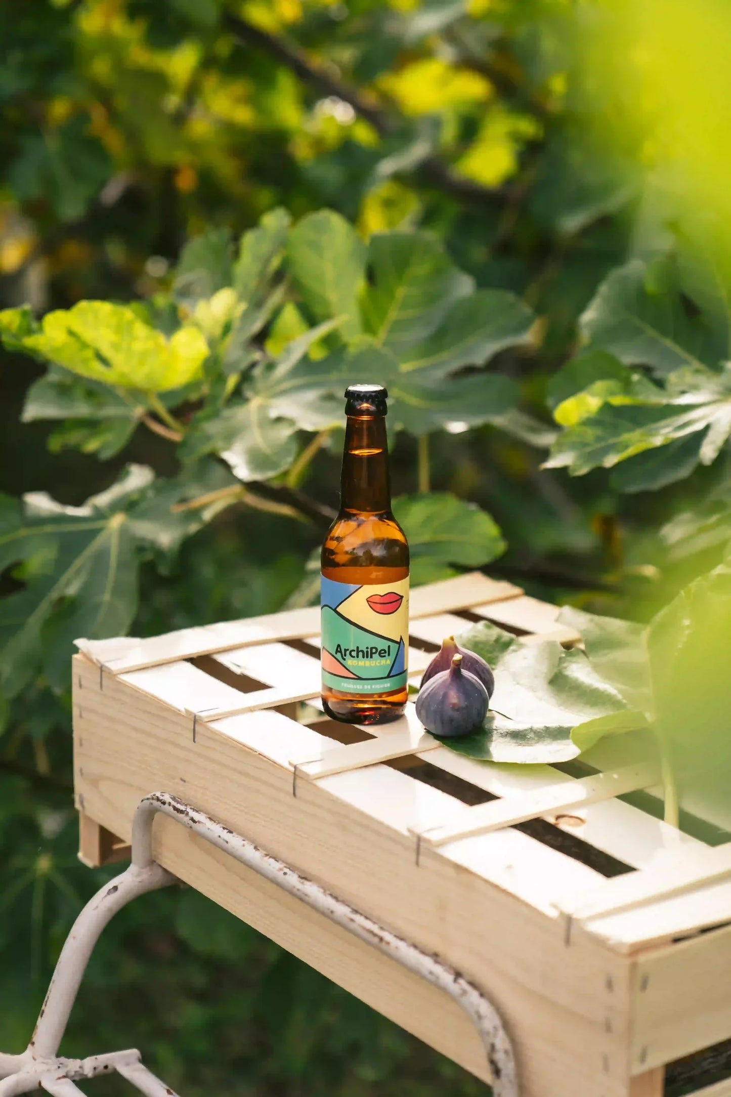 organic kombucha - fig leaves