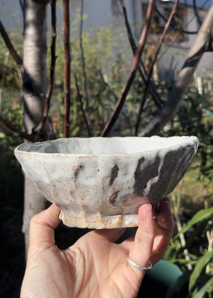 bolet medium bowl
