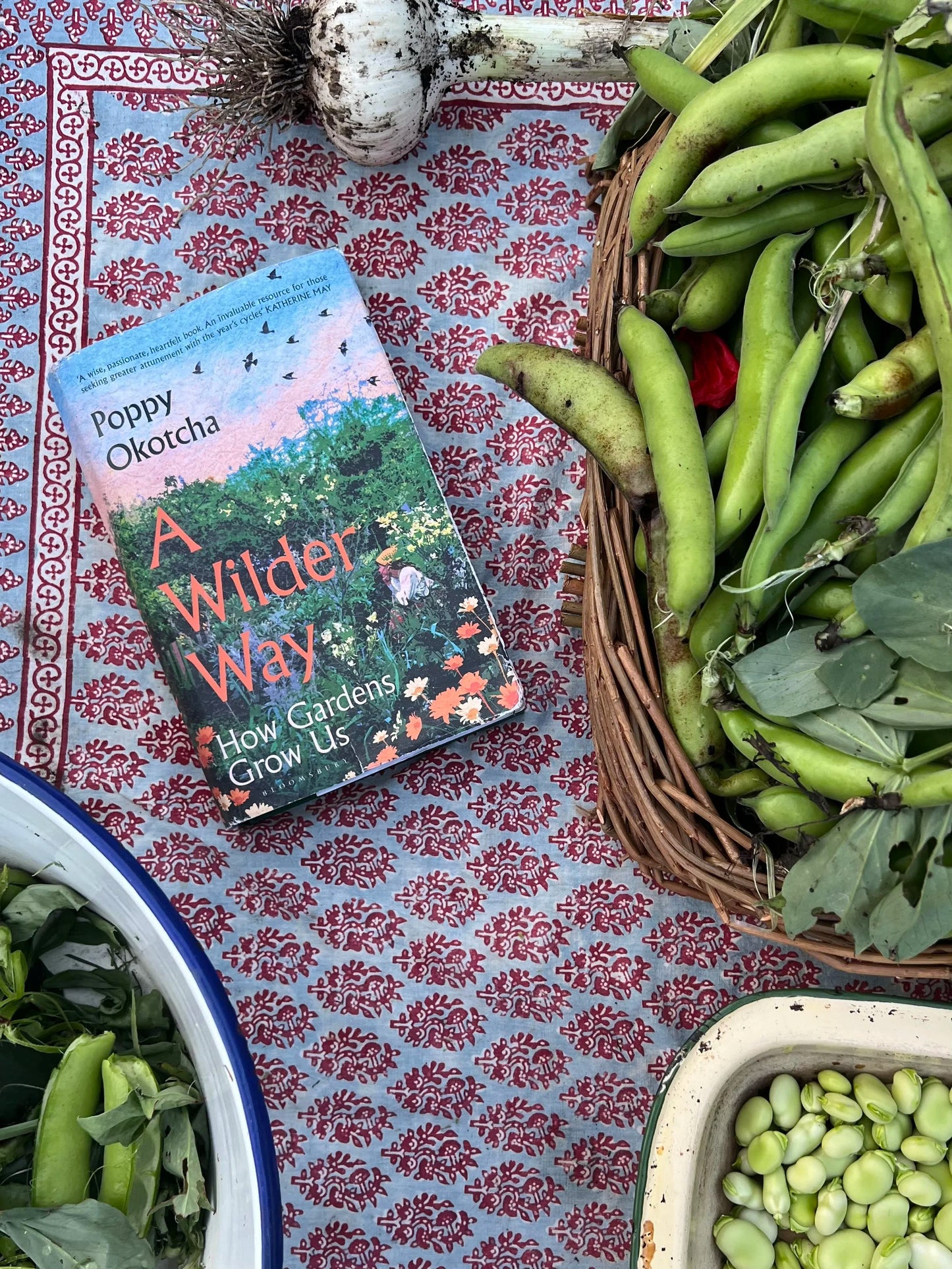 a wilder way: how gardens grow us - by poppy okotcha