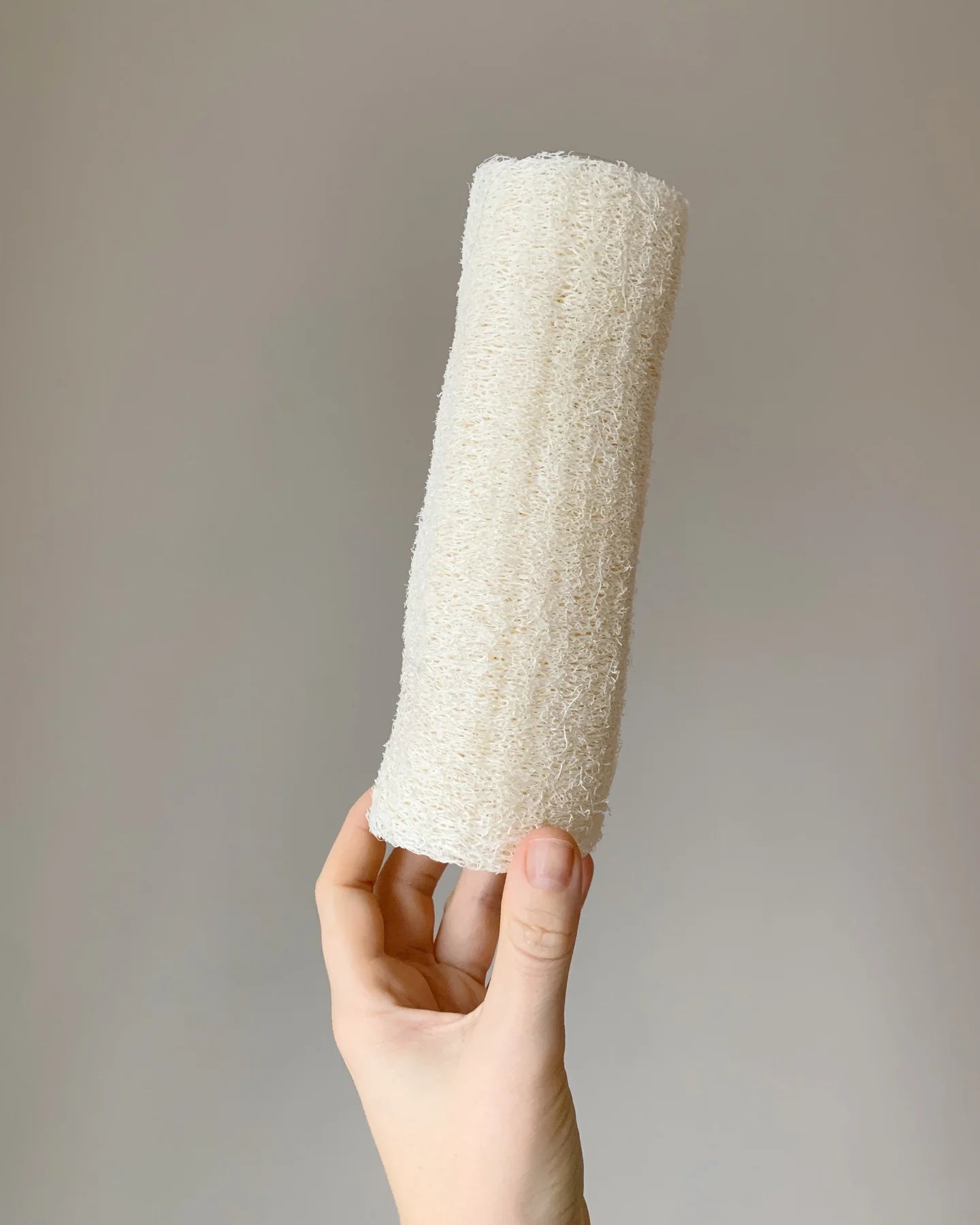 loofah sponge