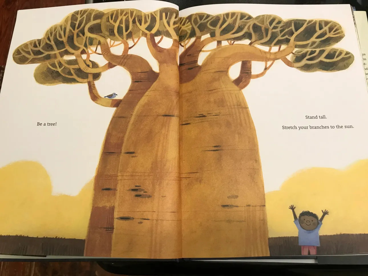 be a tree! - by maria gianferrari