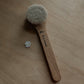 dry face brush