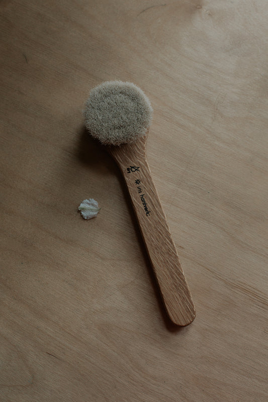 dry face brush