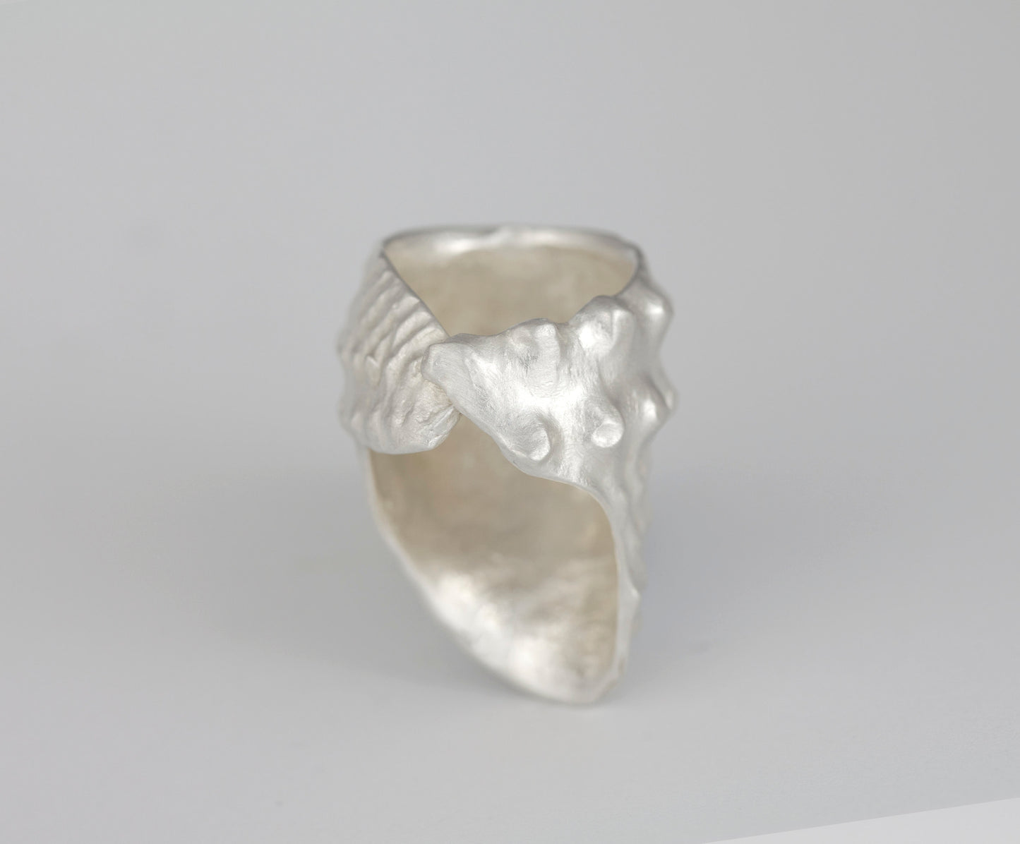 fragments of king nautilus silver ring