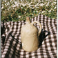 pitxer pitcher