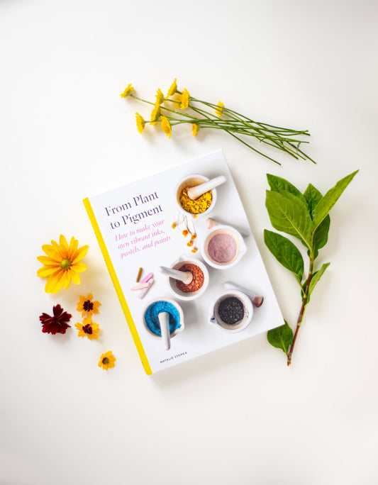 from plant to pigment: how to make your own vibrant inks, pastels and paints - by natalie stopka