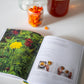 from plant to pigment: how to make your own vibrant inks, pastels and paints - by natalie stopka