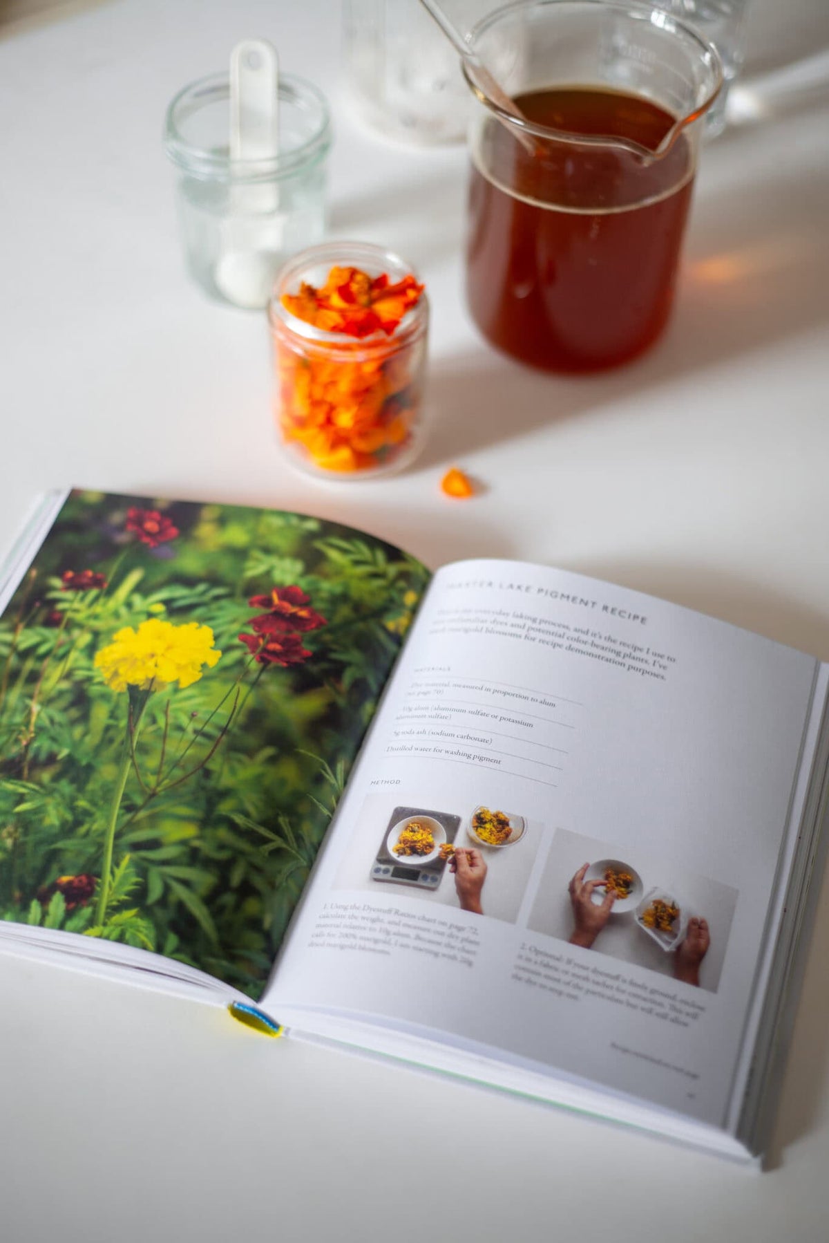 from plant to pigment: how to make your own vibrant inks, pastels and paints - by natalie stopka