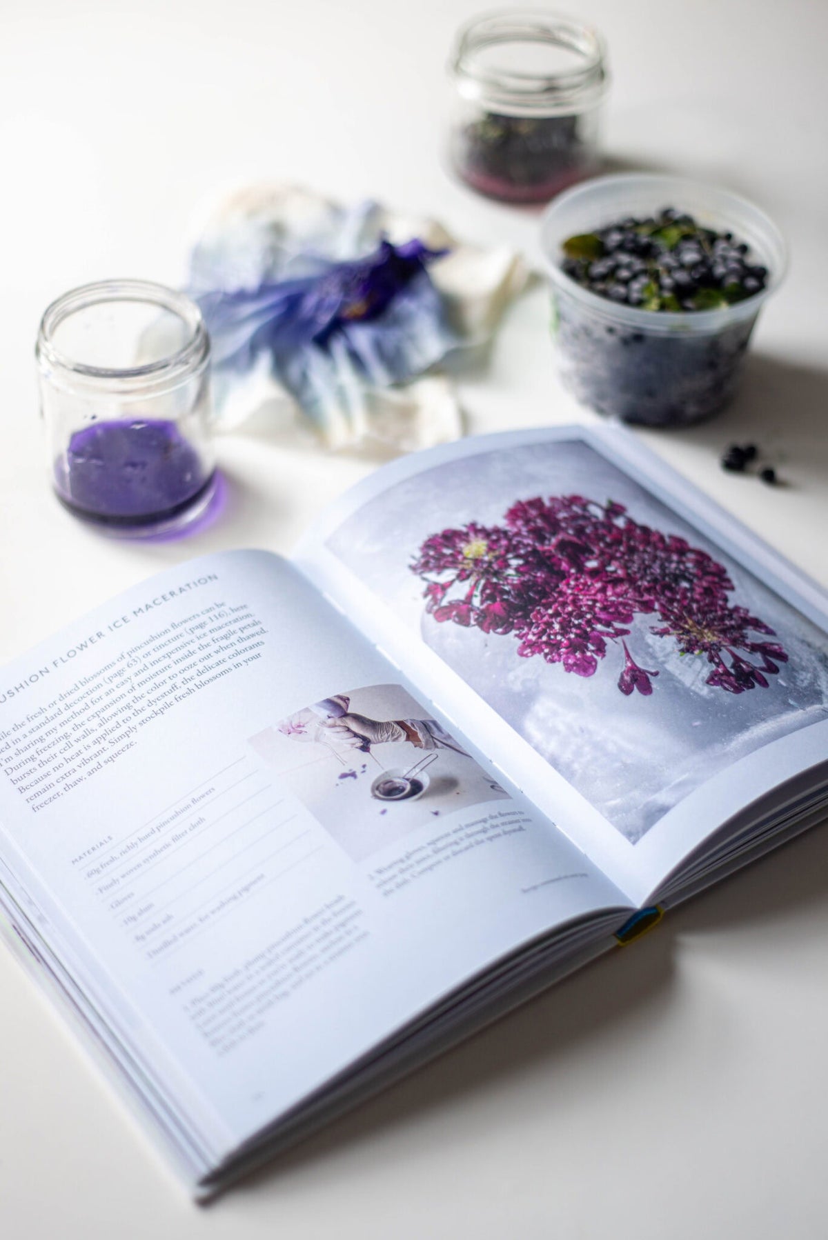 from plant to pigment: how to make your own vibrant inks, pastels and paints - by natalie stopka