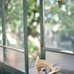 stainless steel clothespin