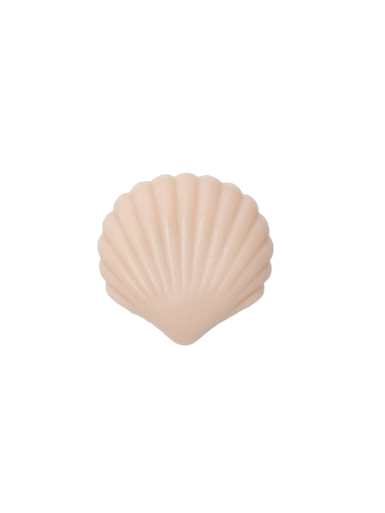 seashell soap